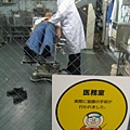 IMG_6667.JPG