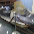 IMG_6677.JPG