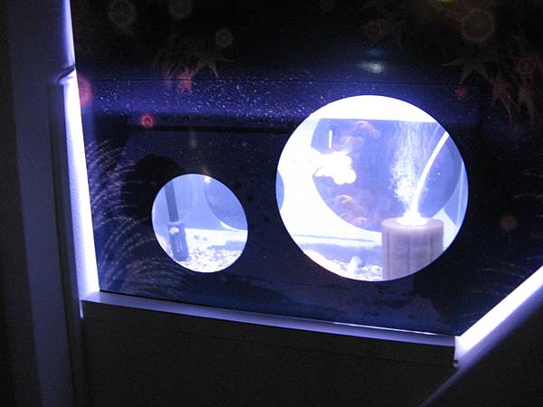 IMG_6735.JPG