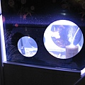 IMG_6735.JPG