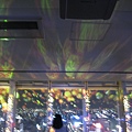 IMG_6746.JPG