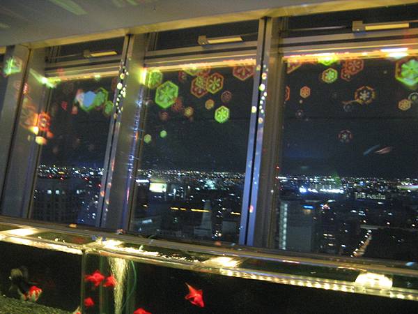 IMG_6751.JPG
