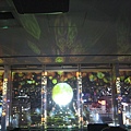 IMG_6754.JPG