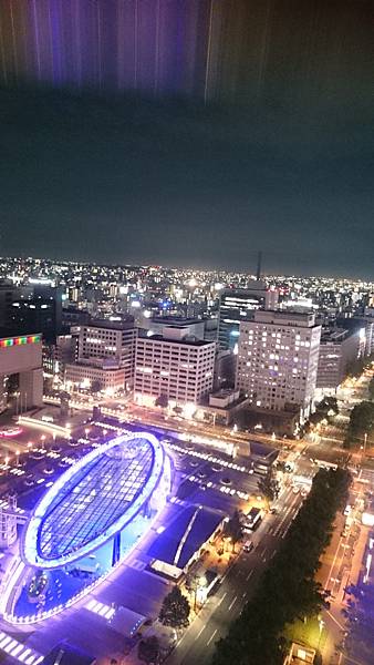 DSC_4782.JPG