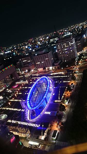 DSC_4785.JPG