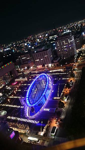 DSC_4786.JPG