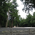 IMG_6900.JPG
