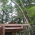 IMG_6901.JPG