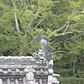 IMG_6972.JPG