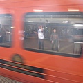 IMG_7581.JPG