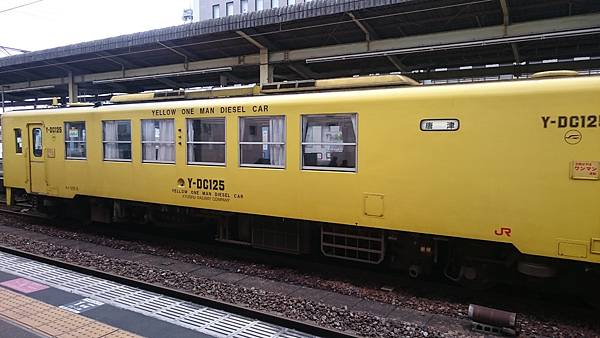 DSC_7986.JPG