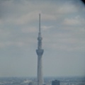 IMG_8410.JPG