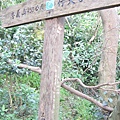 半路