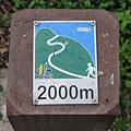 2000m