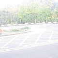 IMG_1261.JPG