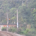 IMG_1274.JPG