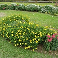 IMG_1289.JPG