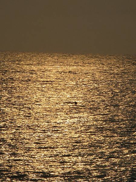 金色海岸