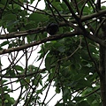 IMG_1662.JPG