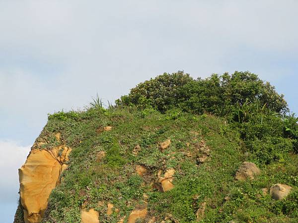 遠眺遠方山頭