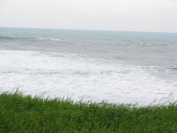 草地與海浪