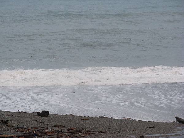 海邊仍見到許多漂流木