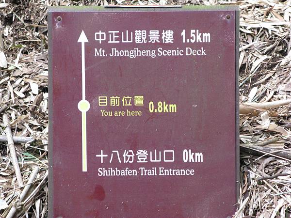 距登山口0k+800