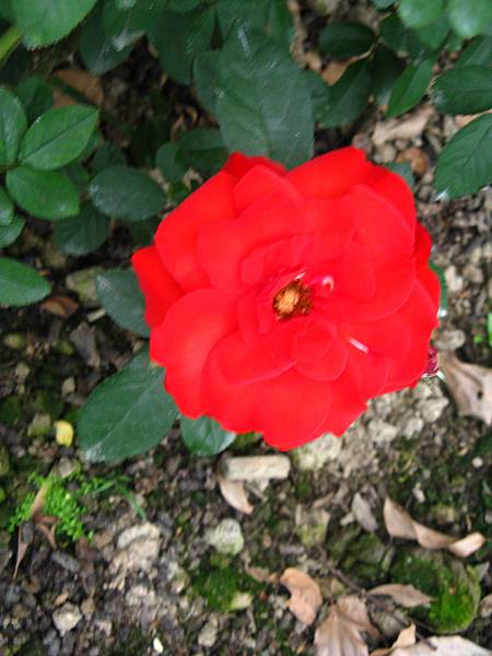 IMG_3734.JPG