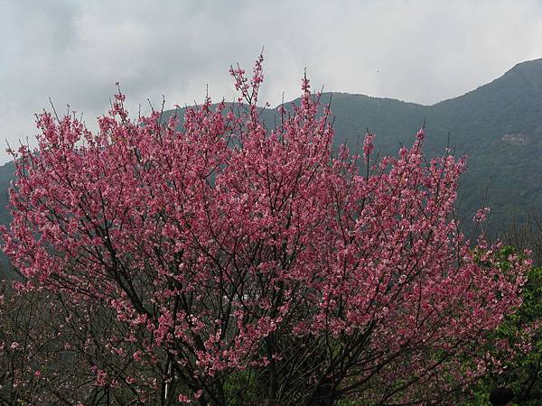 IMG_3800.JPG