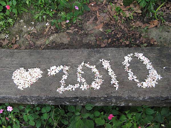 ♥2010