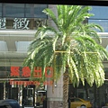 ○○麗緻酒店