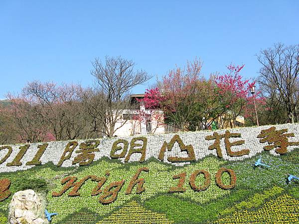 陽明山花季 "❤ High 100" 排字 3