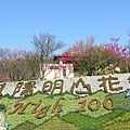 陽明山花季 "❤ High 100" 排字 3