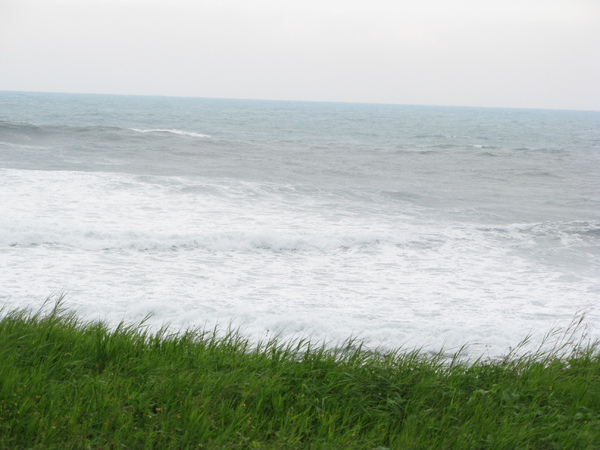 草地與海浪