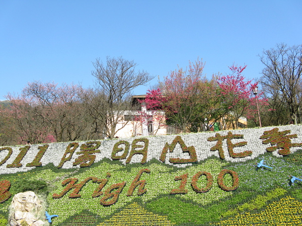 陽明山花季 "❤ High 100" 排字 3