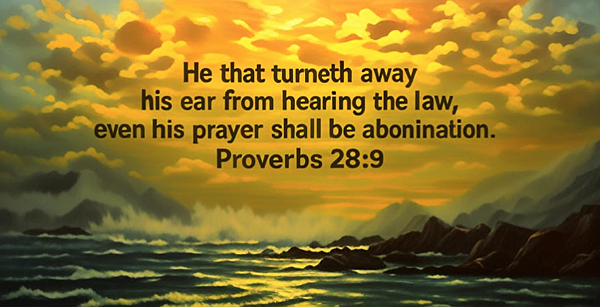 螢幕快照 2025-07-21 上午9.22.50