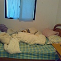 201111251054.jpg