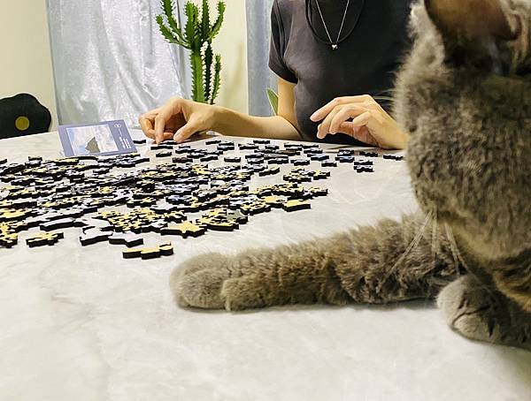 高質感拼圖推薦| 海裡魚木質拼圖 Hello Fish 大人 高質感拼圖推薦| 海裡魚木質拼圖 Hello Fish 大人