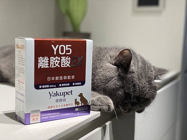 Yakupet優固倍-Y05離胺酸EX  日本獸醫監製的毛小