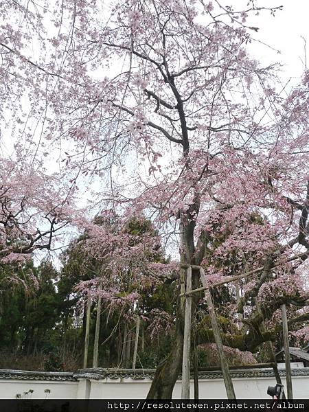 DAY2-醍醐寺004