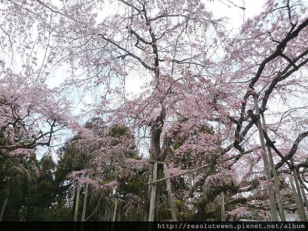 DAY2-醍醐寺005