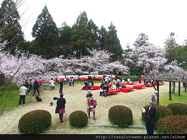 DAY2-醍醐寺056