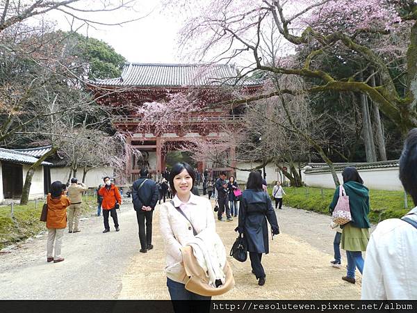 DAY2-醍醐寺060