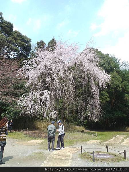 DAY2-醍醐寺070