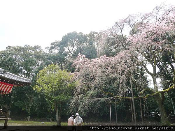 DAY2-醍醐寺082