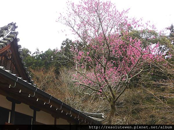 DAY2-醍醐寺091