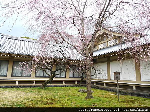 DAY2-醍醐寺094