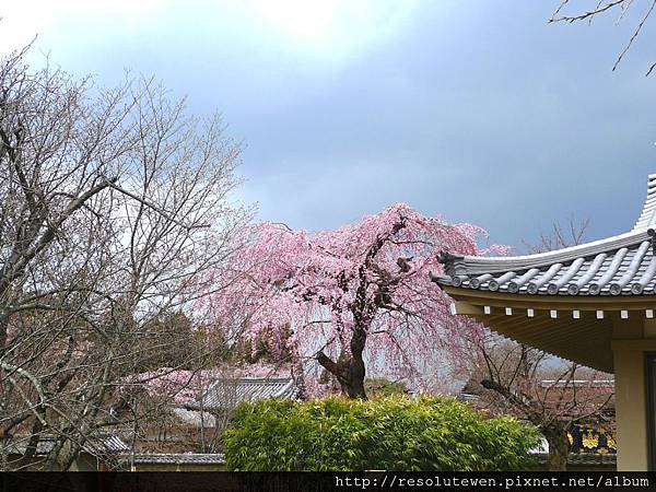 DAY2-醍醐寺096