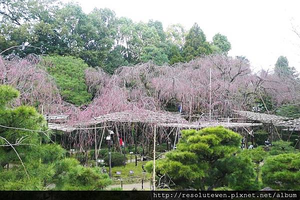 DAY2-平安神宮14