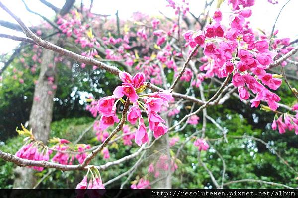 DAY2-平安神宮35